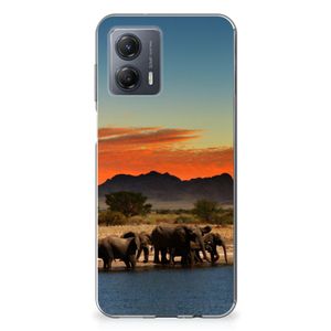 Motorola Moto G53 TPU Hoesje Olifanten