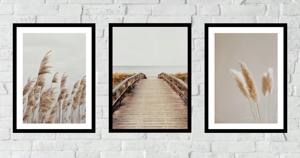 Posters - Droog Gras en Riet / Set van 3