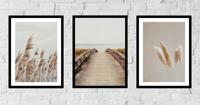 Posters - Droog Gras en Riet / Set van 3 - thumbnail