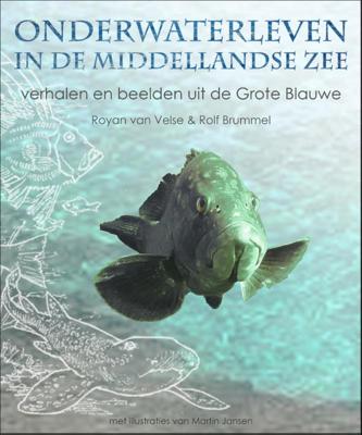 Natuurgids Onderwaterleven in de Middellandse zee | Ecritures