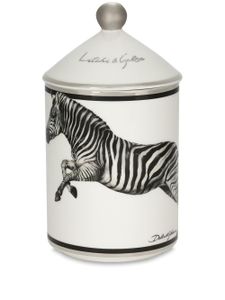 Dolce & Gabbana bougie parfumée à imprimé zèbre (340 g) - Blanc