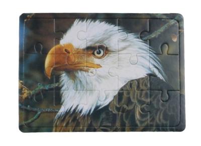 LG Imports legpuzzel Adelaar junior karton 15 stukjes LG Imports legpuzzel Adelaar junior karton 15 stukjes