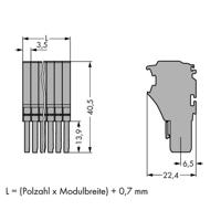 WAGO 2020-113 Connector, female 10 stuk(s)