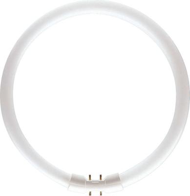 TL5 C 40W/830  - Fluorescent lamp ring shape 40W 18mm TL5 C 40W/830