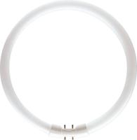 TL5 C 40W/830  - Fluorescent lamp ring shape 40W 18mm TL5 C 40W/830