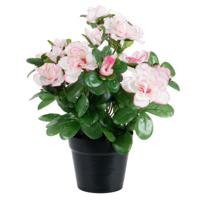 Louis Maes Kunstbloemen Azalea - in pot - wit/roze - H25 cm   - - thumbnail