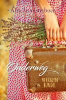 Onderweg - Afra Beemsterboer - ebook - thumbnail