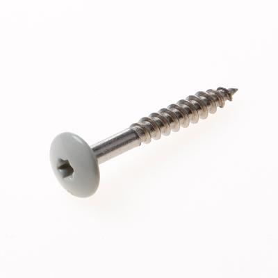 Kleurkopschroef 38mm l/gry a0340 Kleurkopschroef 38mm l/gry a0340