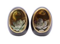 Echeveria in decorative egg black/gold - set of 2