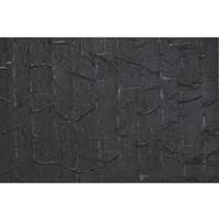 Auhagen 52445 1 dakplaat teerkarton los