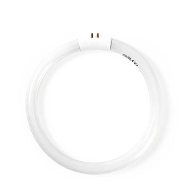 Reservelamp voor loeplamp - 22W