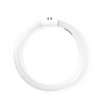 Reservelamp voor loeplamp - 22W