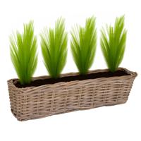 Planten/bloemen mand Levi - rotan - naturel - rechthoekig - 60 x 15 x 17 cm - plantenbak buiten