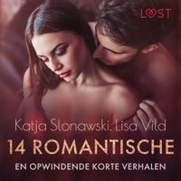 14 romantische en opwindende korte verhalen - een erotische verzameling - thumbnail