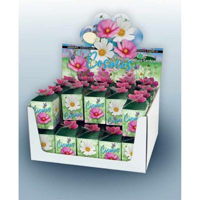 Cosmos mix greengift showdoos