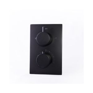 Douchekraan Inbouw Compleet BWS Nero 20x13 cm Thermostatisch Mat Zwart