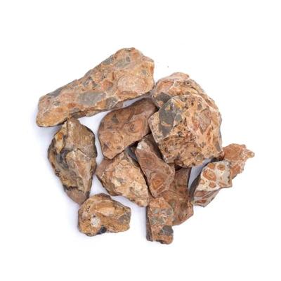 Ruwe leopardiet -- ±3-8cm; ±1000g Ruwe leopardiet -- ±3-8cm; ±1000g