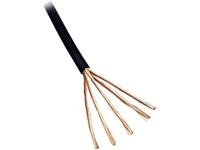 BKL Electronic 1509016/10 Audiokabel 6 x 0.08 mm² Zwart 10 m