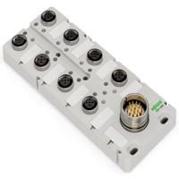 WAGO WAGO GmbH & Co. KG 757-145 Passieve sensor/actorbox M12-verdeler met metalen schroefdraad 1 stuk(s) - thumbnail