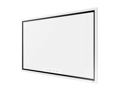 Samsung Flip 2 55 inch (zonder standaard)