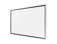 Samsung Flip 2 55 inch (zonder standaard)