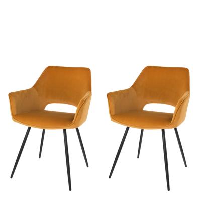 Riverdale Eetkamerstoel Eve Set van 2