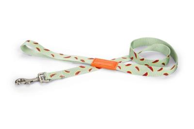 Beeztees Melon - Hondenriem - Lichtgroen - 120 Cm X 25 Mm