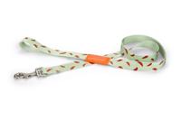 Beeztees Melon - Hondenriem - Lichtgroen - 120 Cm X 25 Mm