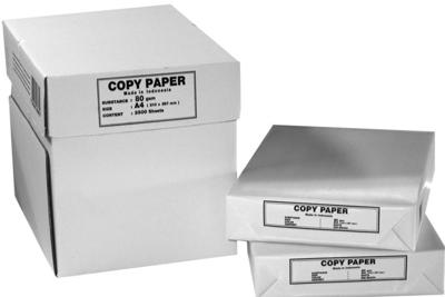 UNBRANDED   printpapier - A4 (210 x 297 mm) - 75 g/m² - 500 stuks - 5