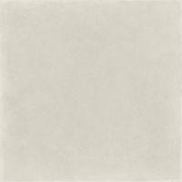 Material White Rett vloertegel beton look 120x120 cm grijs mat - thumbnail