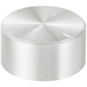 TRU COMPONENTS TC-11613828 Draaiknop Met knopmarkering Zilver (Ø x h) 20 mm x 10 mm Aluminium, Plastic 1 stuk(s)