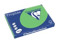 Clairefontaine Trophée Intens, gekleurd papier, A3, 120 g, 250 vel, grasgroen - thumbnail