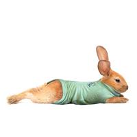 Medical Pet Shirt, Konijn, XX-Kleine, Groen