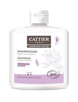 Bamboe Shampoo van Cattier voor droog haar, 250 ml