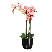 Orchidee kunstplant roze - 75 cm - inclusief bloempot zwart glans