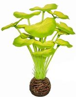 Superfish Easy Plant Voorgrond 13 cm (nr. 5)