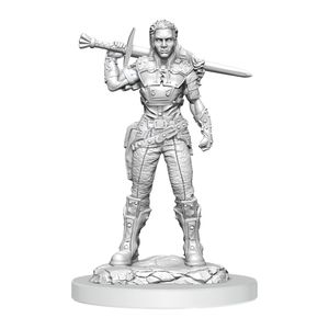 D&D Nolzur's Marvelous Miniatures Unpainted Miniatures 2-Pack Orc Fighter Female