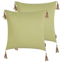 Beliani-CHMISTAR-Sierkussen set van 2-Groen-45 x 45 cm-Polyester