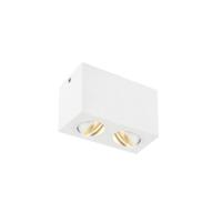 SLV Downlight Triledo 2-lichts 16cm 3000K wit 1002008 - thumbnail