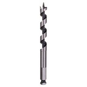 Bosch Accessories 2608585701 Slangenboor 14 mm Gezamenlijke lengte 160 mm Zeskant schacht 1 stuk(s)