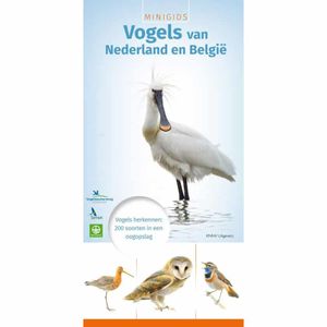 Minigids - Vogels van Nederland en België