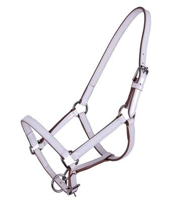 QHP Halster veulen Leer Ilanura