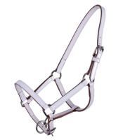 QHP Halster veulen Leer Ilanura