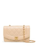 CHANEL Pre-Owned petit sac porté épaule Diana (1994-1996) - Marron - thumbnail