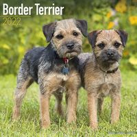 Kalender 2025 Border Terrier