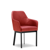 Eetkamerstoel D-101 Rood Leer