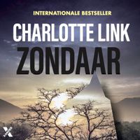 Zondaar - thumbnail