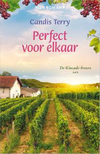 Perfect voor elkaar - Candis Terry - ebook