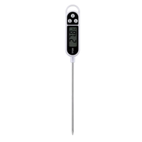 Digitale Thermometer Zilver