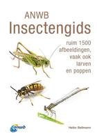 ANWB Insectengids - Heiko Bellmann - Paperback (9789021575360)